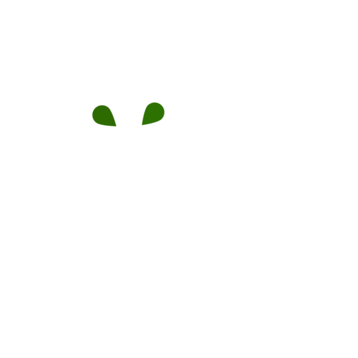 Desert Springs